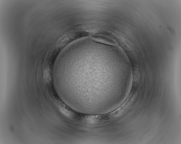 X0000112100136200908251158