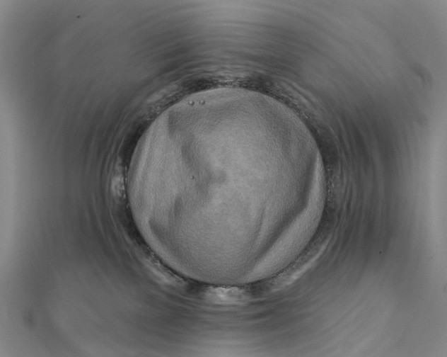 X0000112100137200908251158