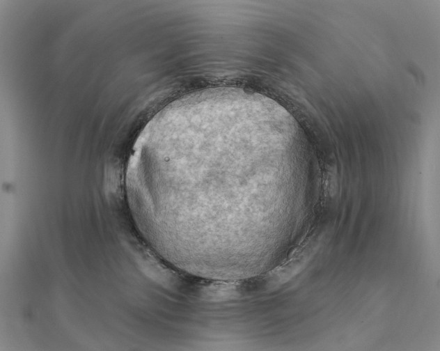 X0000112100138200908251158