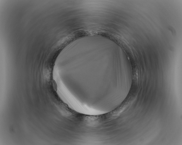 X0000112100139200908251158