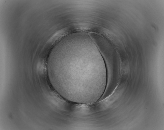 X0000112100140200908251158