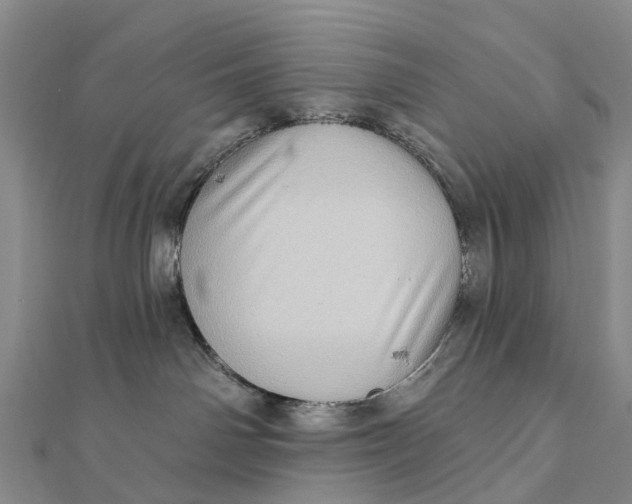 X0000112100142200908251158