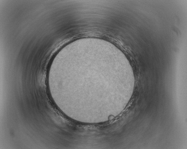 X0000112100146200908251157