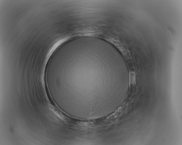 X0000112100147200908251157