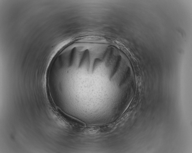 X0000112100148200908251157