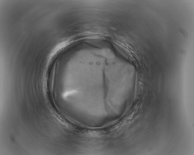 X0000112100149200908251157