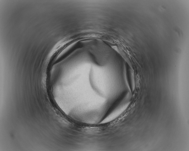 X0000112100150200908251157