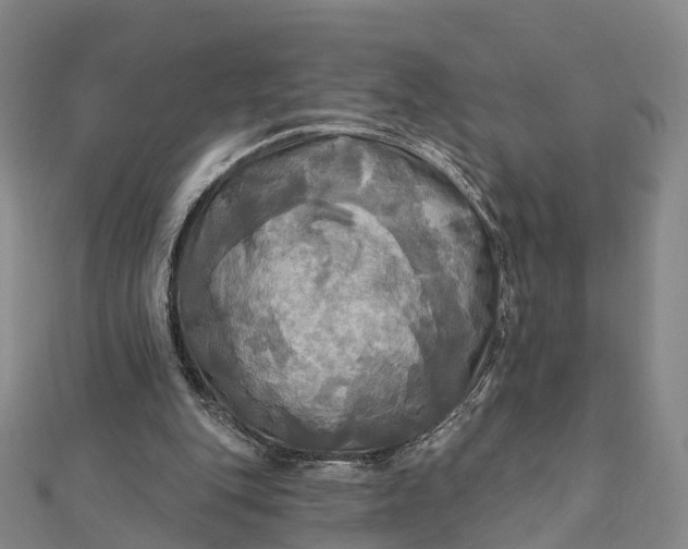 X0000112100151200908251157