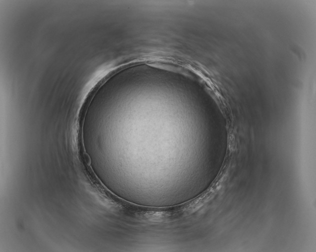 X0000112100152200908251157