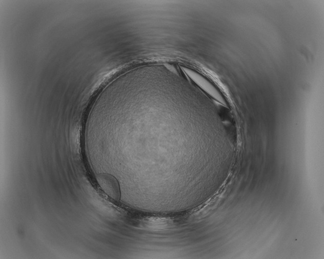 X0000112100154200908251157