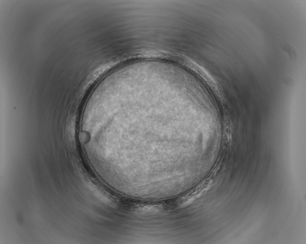 X0000112100155200908251157