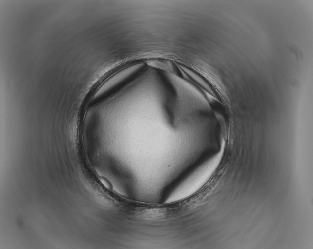 X0000112100156200908251157