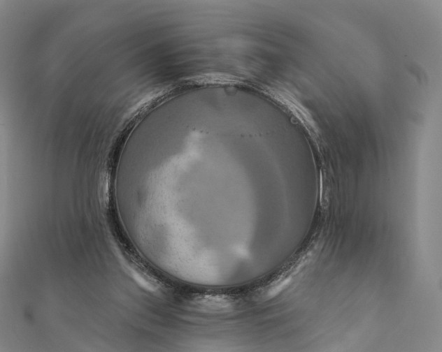 X0000112100157200908251157