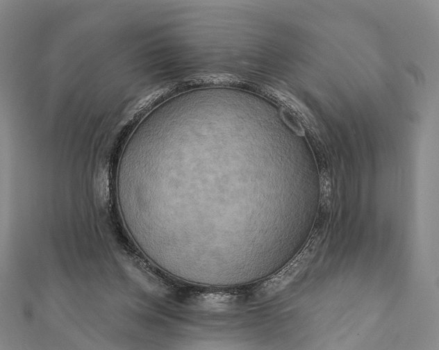 X0000112100158200908251157