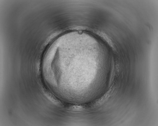 X0000112100159200908251157