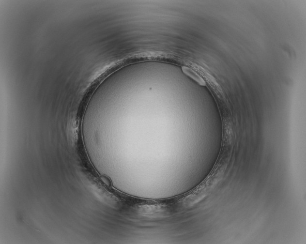 X0000112100160200908251157