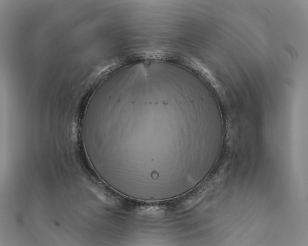 X0000112100161200908251157