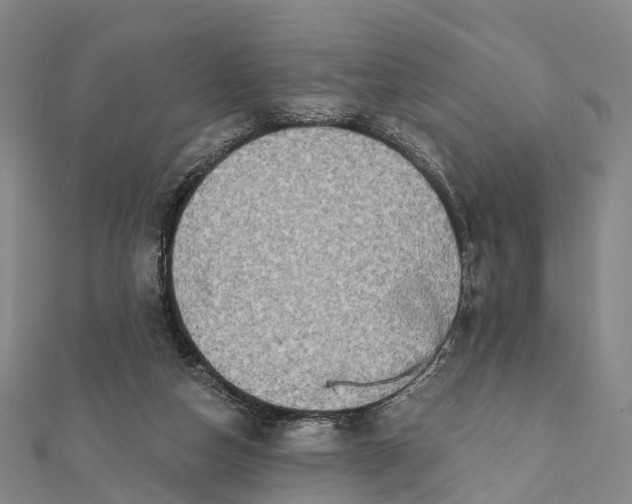 X0000112100162200908251157