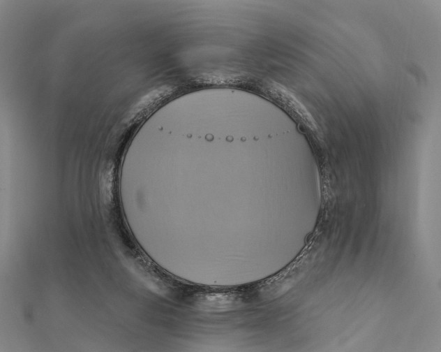 X0000112100163200908251157