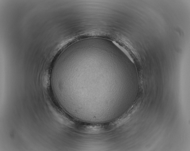 X0000112100164200908251157