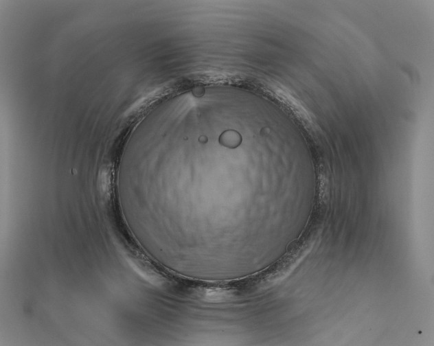 X0000112100165200908251157