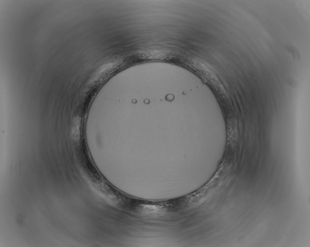 X0000112100167200908251157