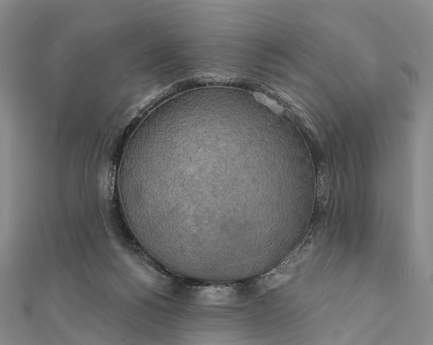 X0000112100168200908251157