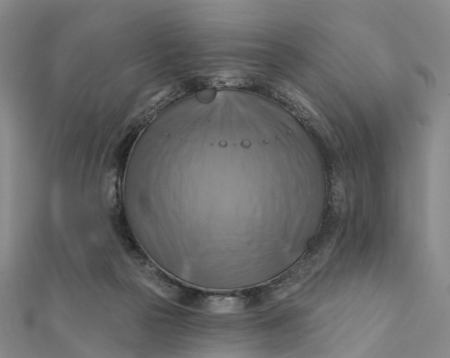 X0000112100169200908251157