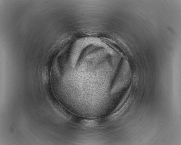 X0000112100170200908251157