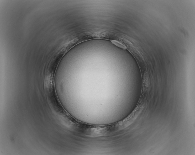 X0000112100172200908251157