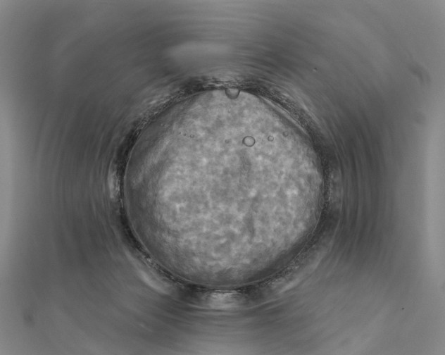 X0000112100173200908251157