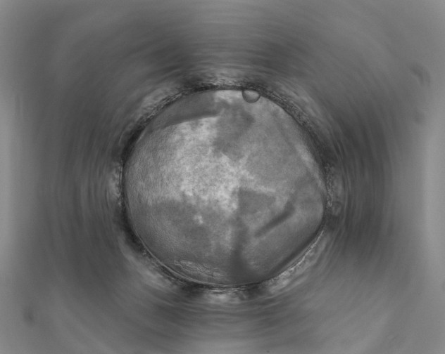 X0000112100175200908251157