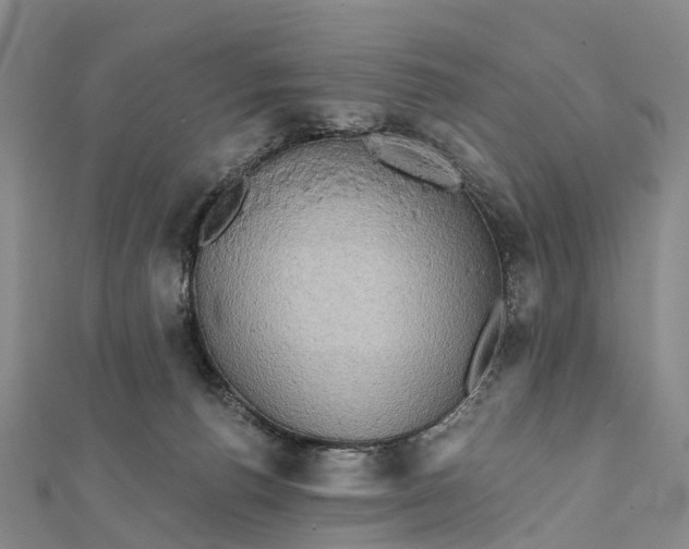 X0000112100176200908251157