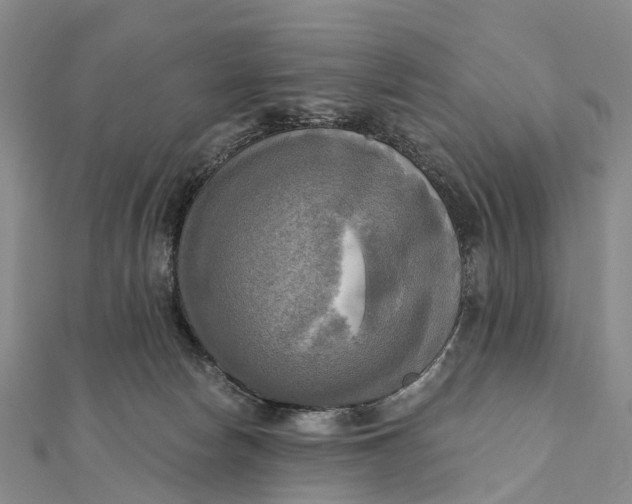 X0000112100178200908251158