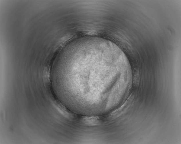 X0000112100179200908251158