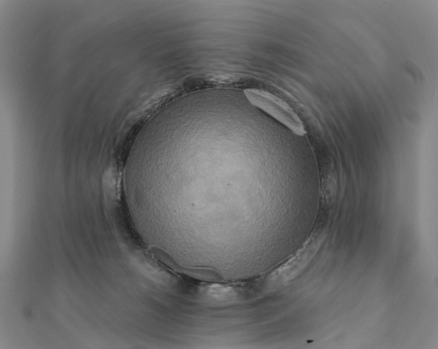 X0000112100180200908251158