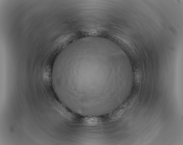 X0000112100181200908251158