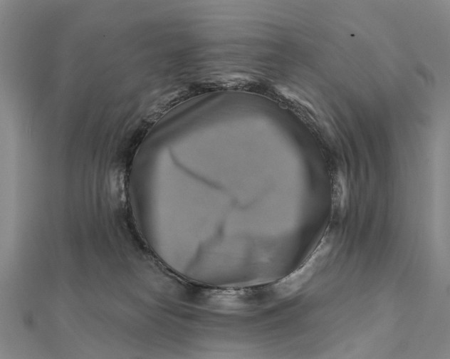 X0000112100182200908251158