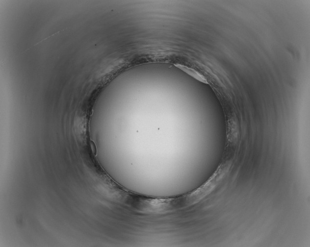 X0000112100184200908251158