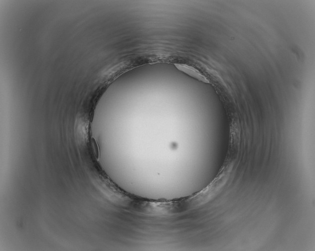 X0000112100188200908251158