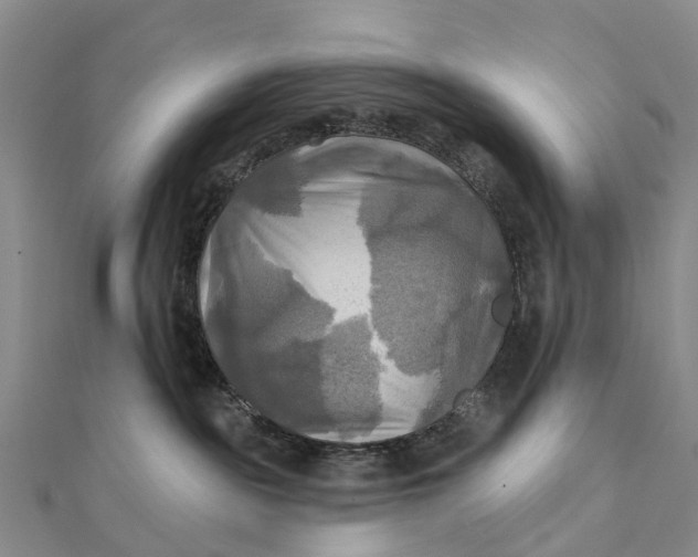 X0000112100189200908251158