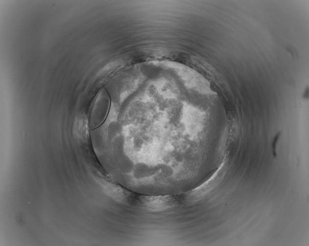 X0000112100191200908251158