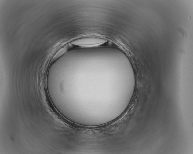 X0000112100193200908251157