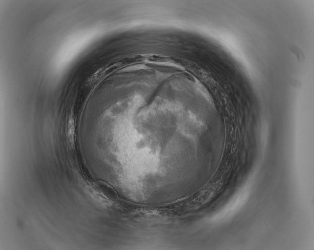 X0000112100194200908251157