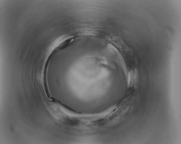 X0000112100195200908251157