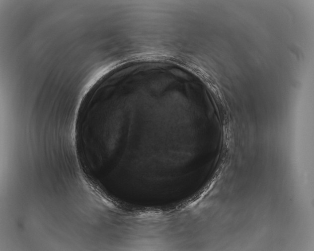 X0000112100196200908251157