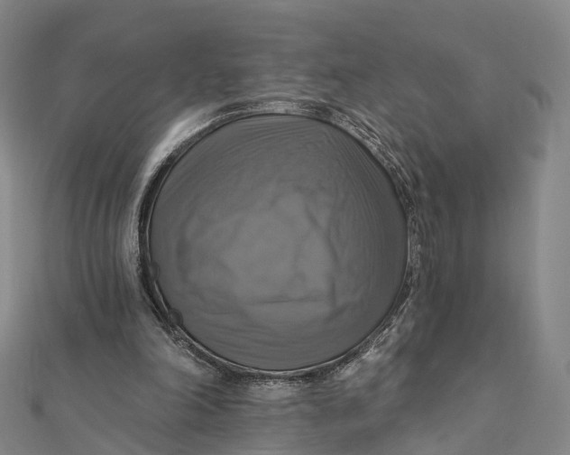 X0000112100198200908251157