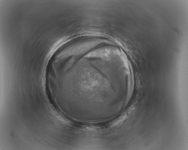 X0000112100199200908251157