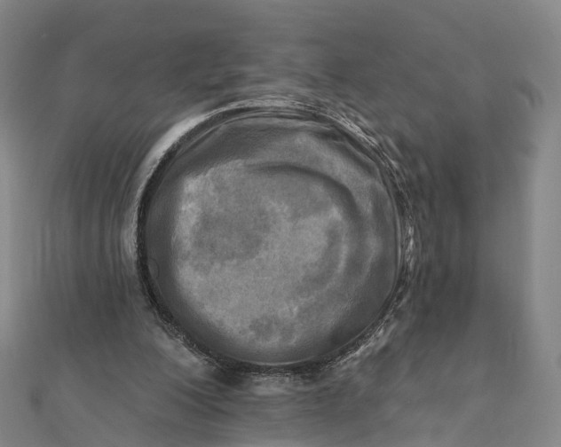 X0000112100200200908251157