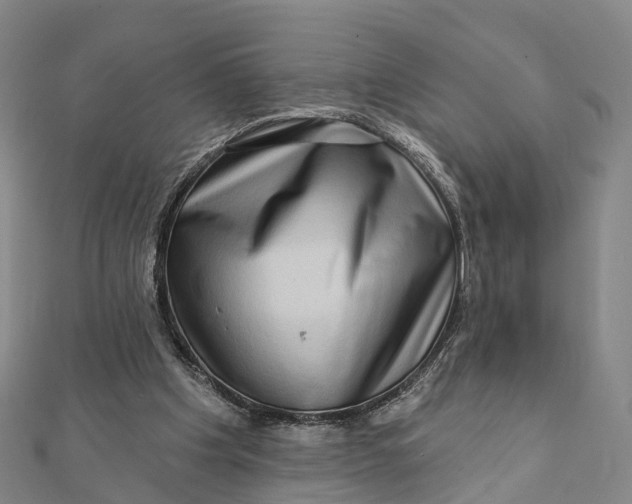 X0000112100201200908251157